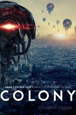 Colony streaming - guardaserie