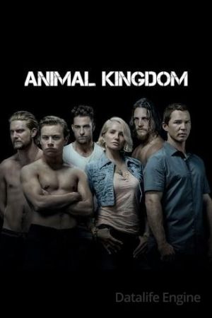 Animal Kingdom streaming - guardaserie