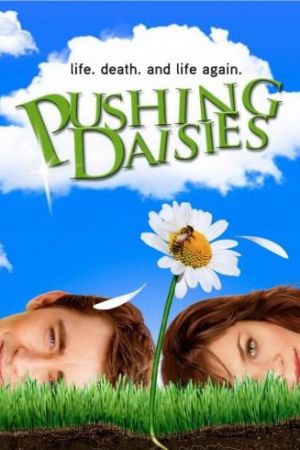 Pushing Daisies streaming - guardaserie