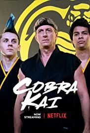 Cobra Kai streaming - guardaserie