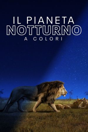 Il pianeta notturno a colori streaming - guardaserie